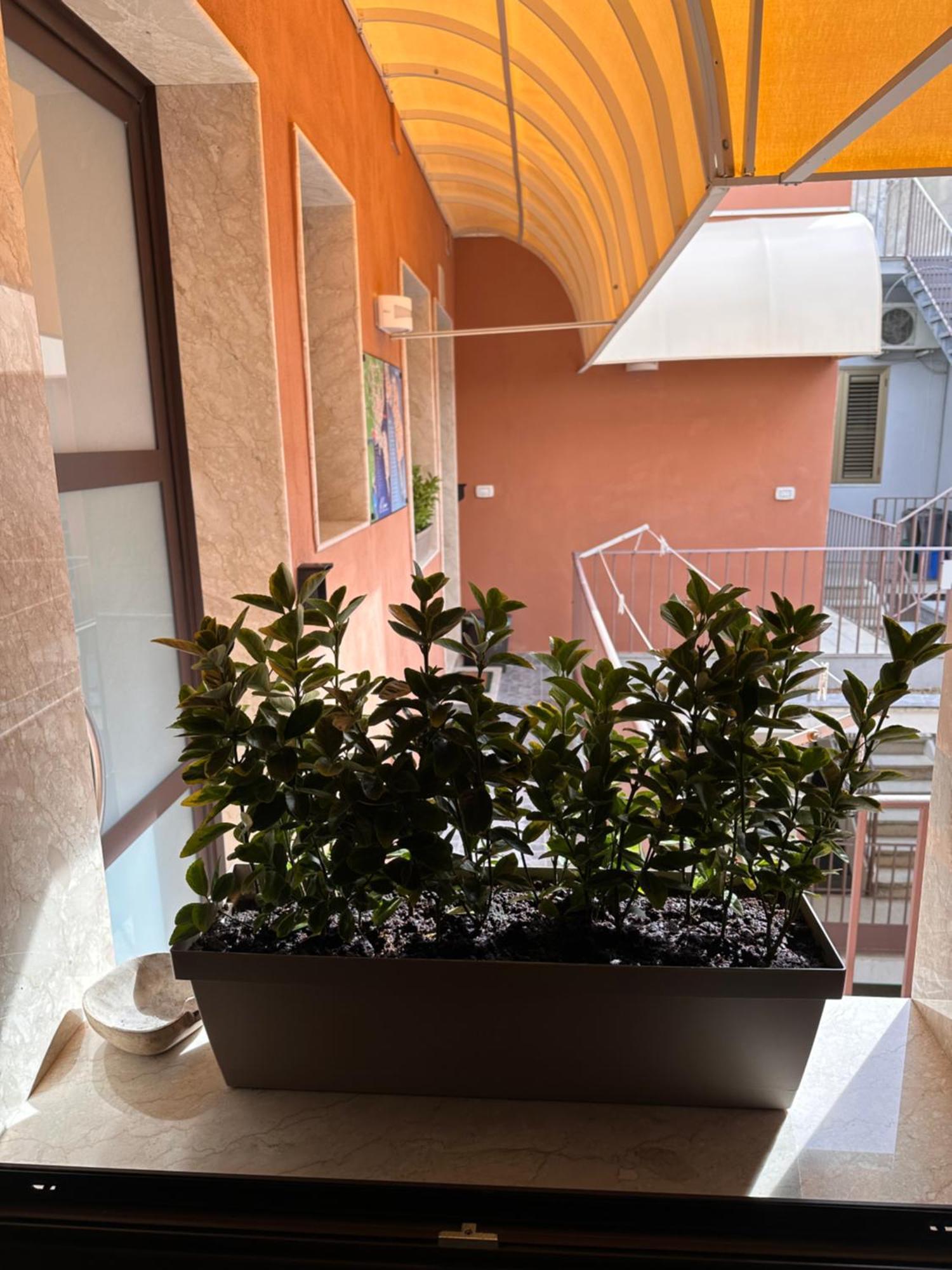 Le Luxury Siracusa Maison d'hôtes